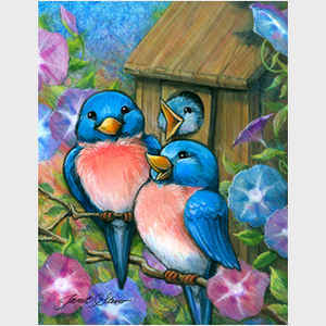 Bluebird Welcome