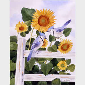 Bluejays and Sunflowers