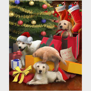 Don't Open Until Christmas