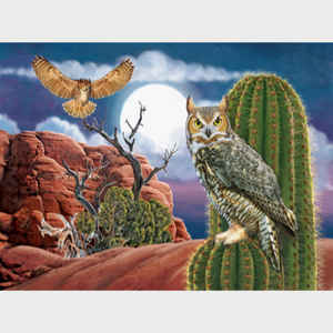 Great Horned Owl in the Desert