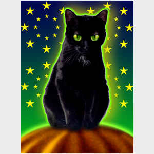 Halloween Kitty