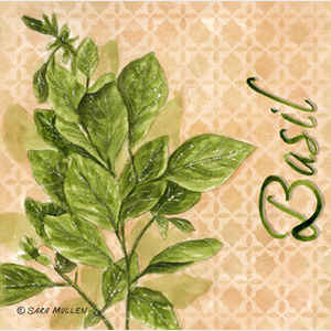   Herbs