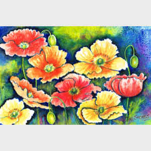 Iceland Poppies