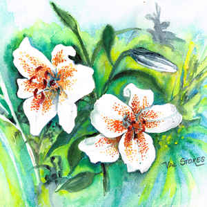 Lilies