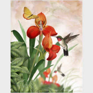 Orchid and Hummingbird