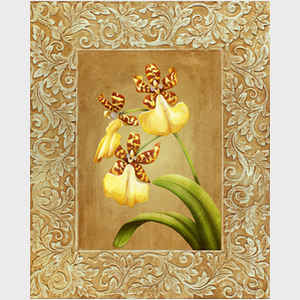 Orchid III