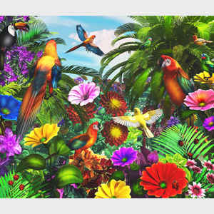 Parrot Jungle