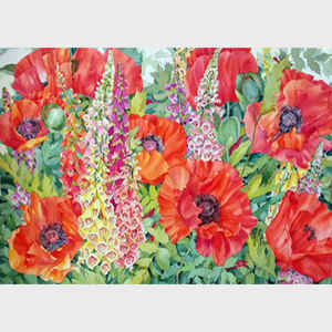 Poppies and Foxglove