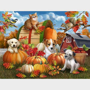 Pumpkins and Friends
