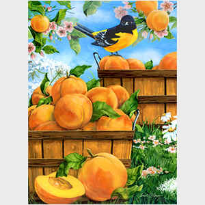 Summer Peaches, vertical