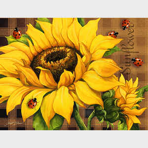 Sunflower Splendor