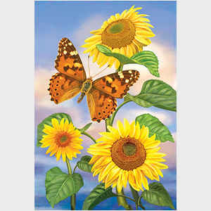 Sunflowers and Painted Lady