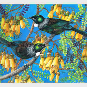 Tuis and Kowhai